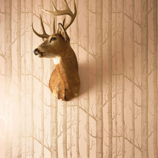 Cole and Son behang Woods Whimsical